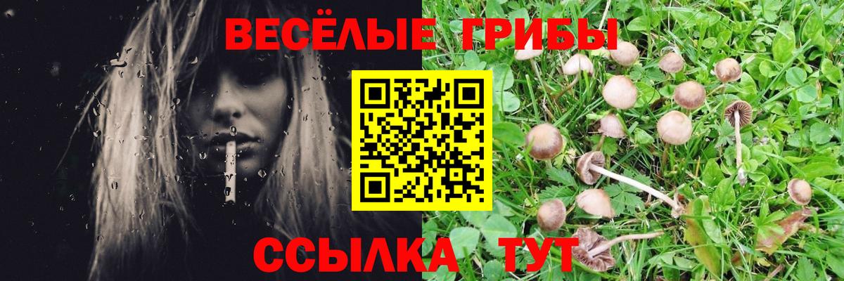 Галлюциногенные грибы мухоморы  Вход с VPN  Нальчик 